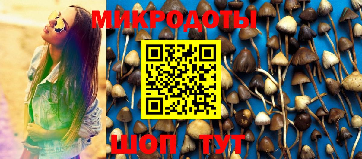 Псилоцибиновые грибы прущие грибы  Галлюциногенные грибы прущие грибы  Шебекино  Вход с VPN 
